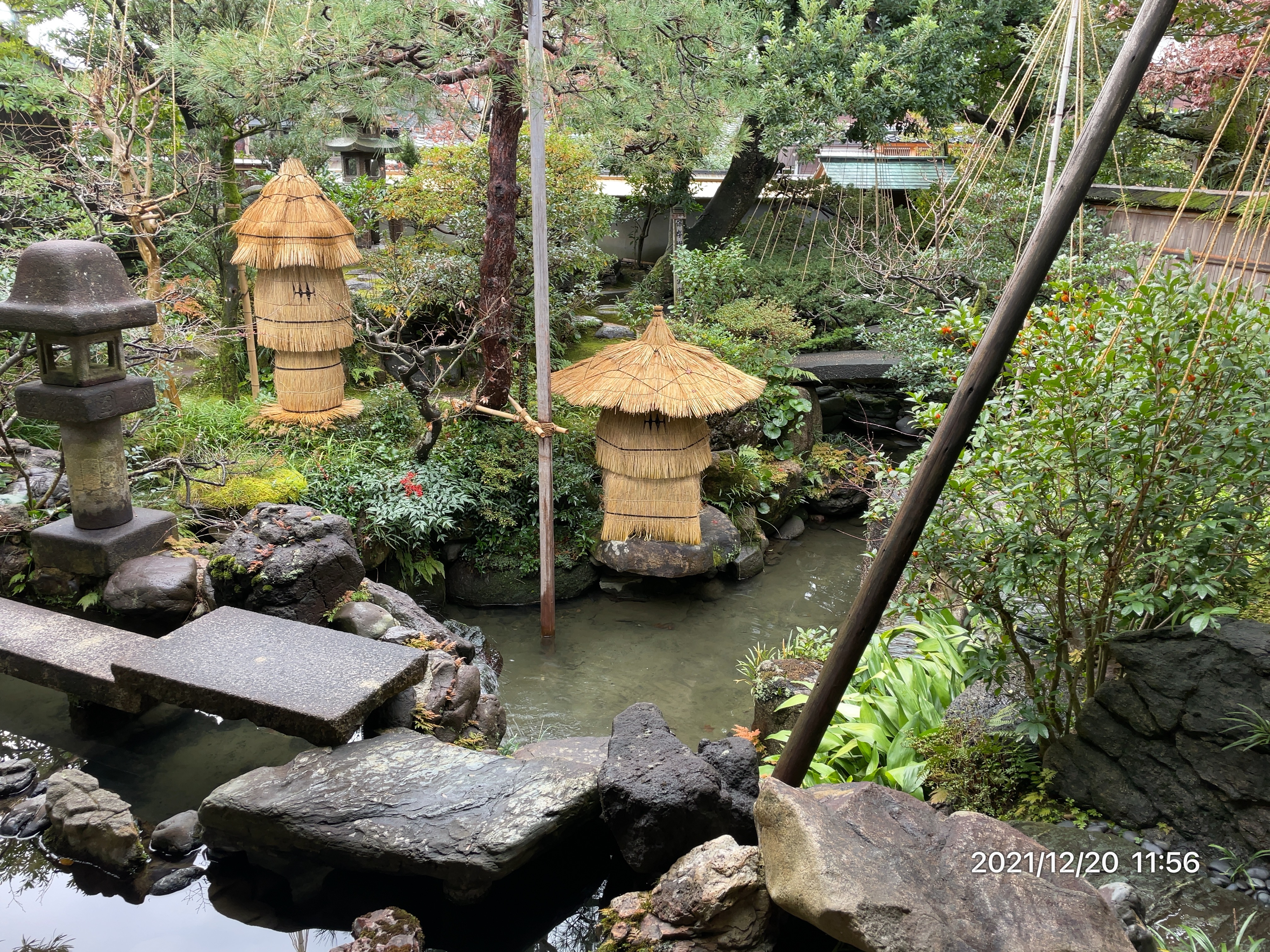 野村家・日本庭園